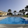 Piscina all'aperto con palme.