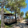 MOBILE HOME HAPPY EASY