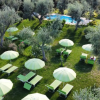Area verde con ombrelloni e lettini tra ulivi, vicino a una piscina.