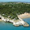 Spiaggia con pini e scogli sul mare.