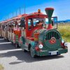 Un trenino turistico su una strada di campagna.