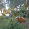 Giardino con anfora inclinata e vegetazione varia.