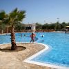 Piscina all'aperto con al centro una palma, bambini che giocano e lettini ombreggiati sullo sfondo.