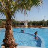 Piscina con persone che nuotano, vista parziale di una palma.