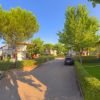 Strada alberata con villette e auto parcheggiate.