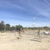 Due persone giocano a beach tennis su una spiaggia sabbiosa, con una rete e alberi in lontananza.