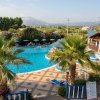 Piscina circondata da palme e ombrelloni.