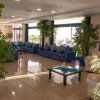 Sala interna con divani blu, piante in vaso e luce naturale.