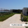Giardino con barbecue e vista mare.