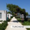 Sentiero tra bungalow bianchi e alberi curvi.