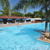 Piscina con palme e sedie a sdraio bianche.
