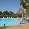 Una piscina con persone che nuotano, circondata da palme.