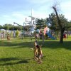 Bambini giocano in un parco con scivoli e alberi.