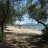 Spiaggia vista attraverso gli alberi, con ombrellone.