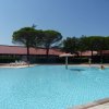 Piscina all'aperto con ombrelloni e alberi.