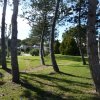 Giardino alberato con percorsi in cemento.