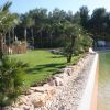 Prato verde con palme e rocce accanto a una piscina.