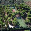 Campi sportivi immersi tra gli alberi.