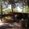 Bungalow in legno tra gli alberi.