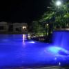 Piscina illuminata di notte con cascata e palme.
